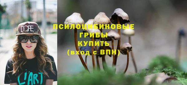 PSILOCYBIN Гусь-Хрустальный